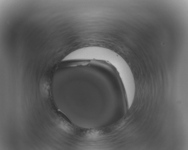 X0000066970235200604142149