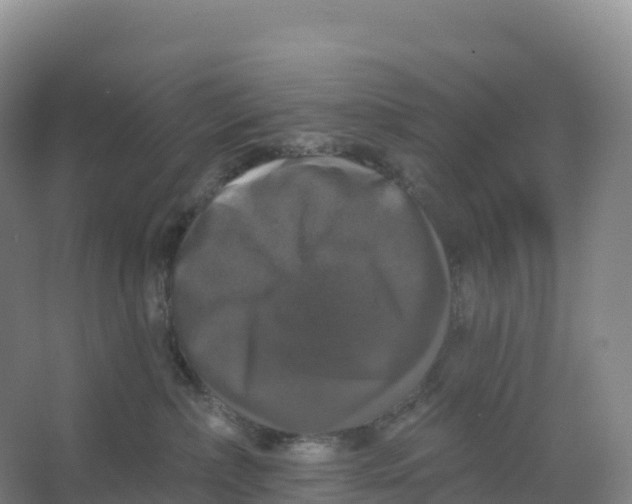 X0000066970236200604142149