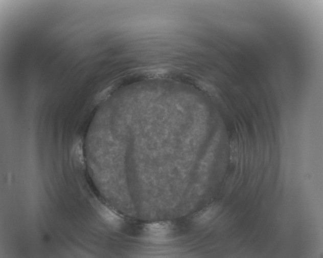 X0000066970238200604142149