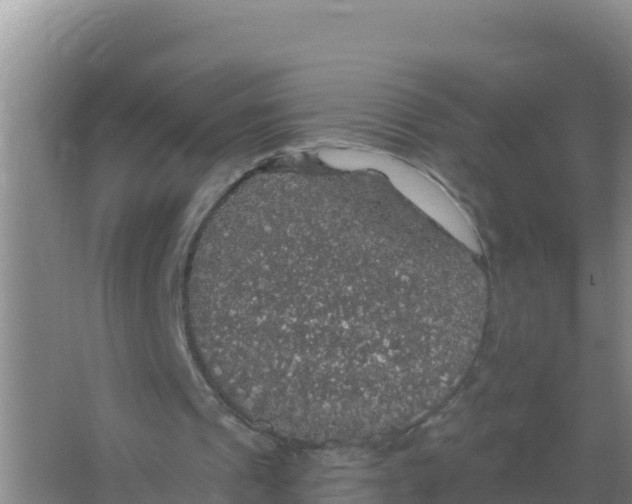 X0000066970241200604142148