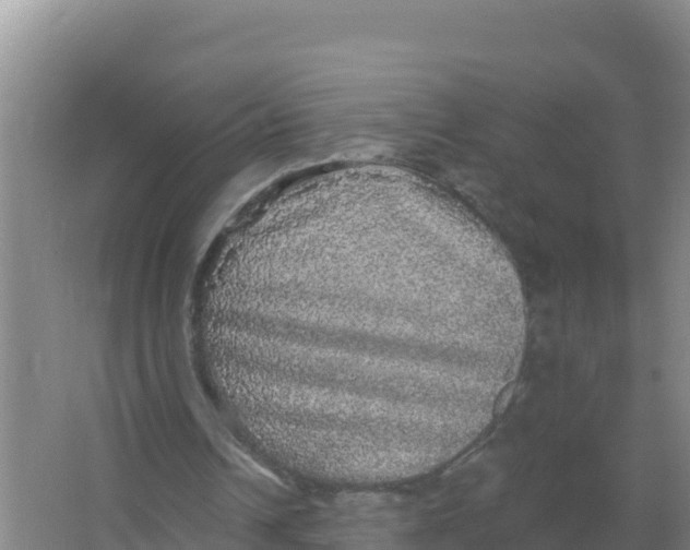 X0000066970242200604142148