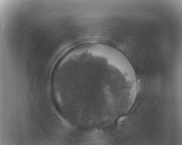 X0000066970243200604142148