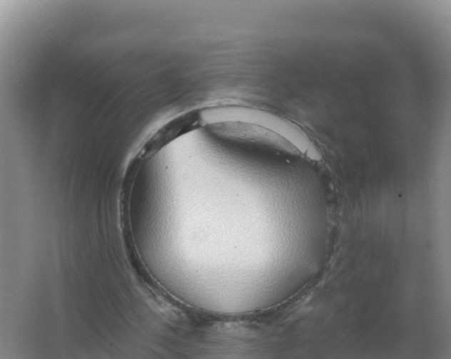 X0000066970244200604142148