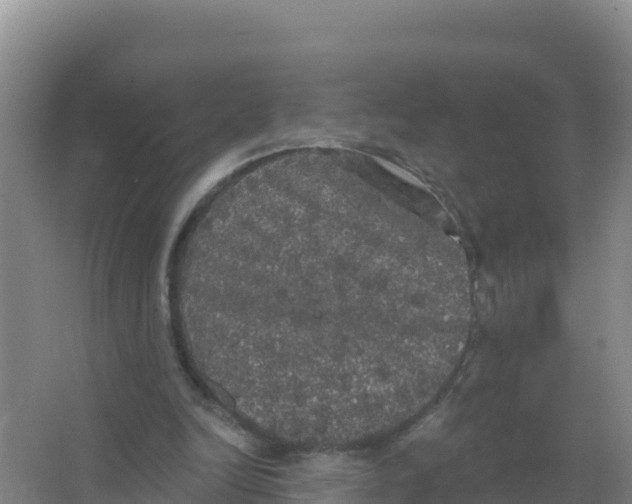 X0000066970246200604142148