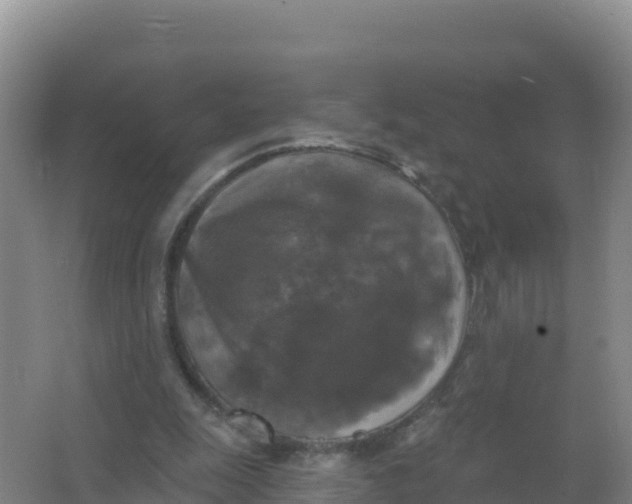 X0000066970247200604142148