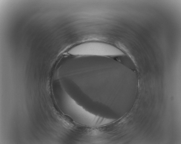 X0000066970249200604142148