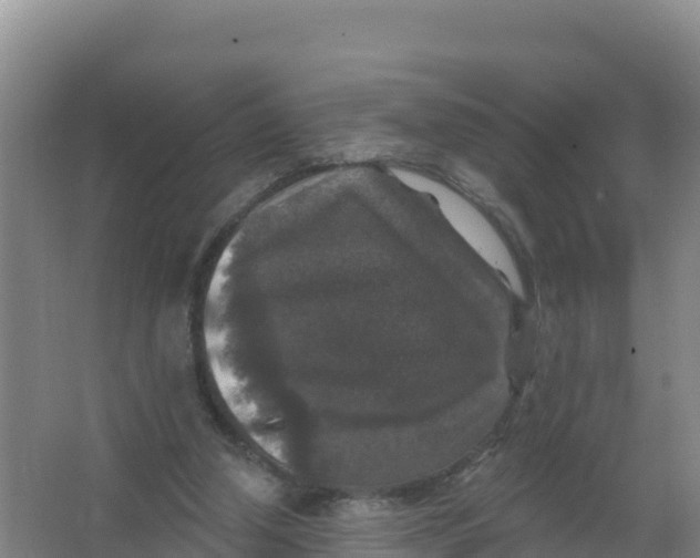 X0000066970250200604142148