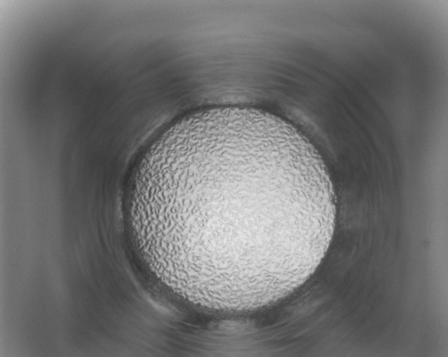 X0000066970251200604142148