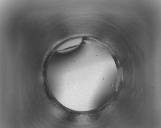 X0000066970252200604142148