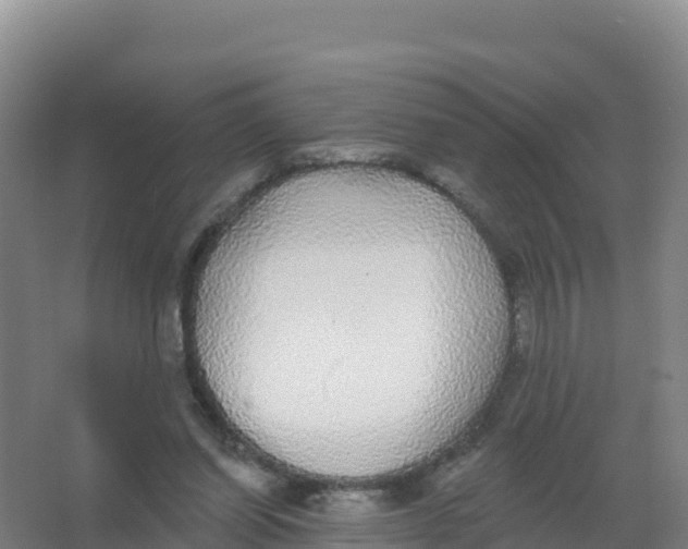 X0000066970254200604142148