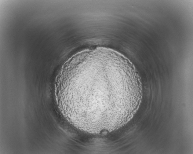 X0000066970255200604142148