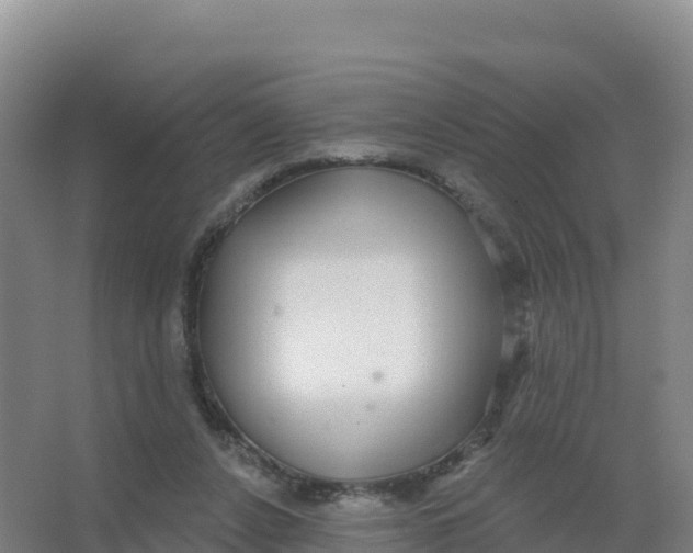 X0000066970256200604142148