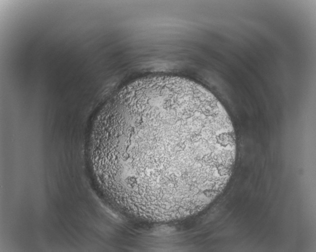 X0000066970257200604142148