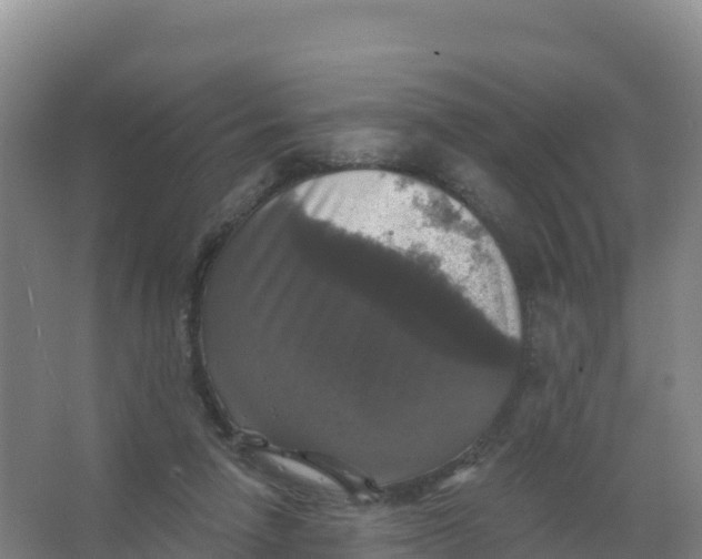 X0000066970258200604142148