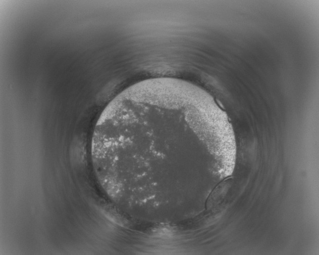 X0000066970259200604142148