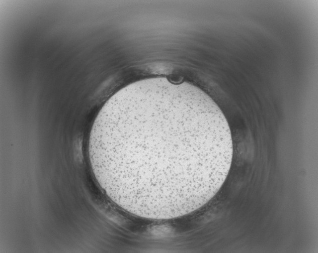 X0000066970262200604142148