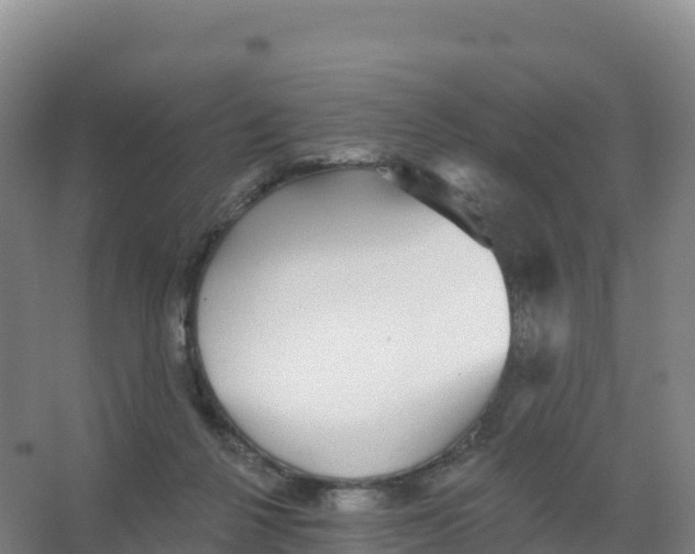 X0000066970264200604142148