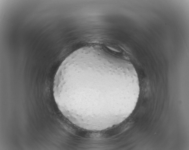 X0000066970265200604142148