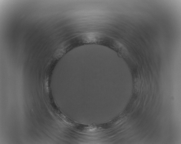 X0000066970267200604142148