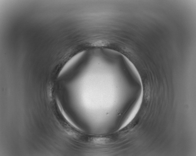 X0000066970268200604142148