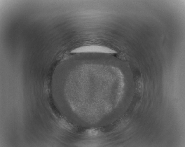 X0000066970272200604142148