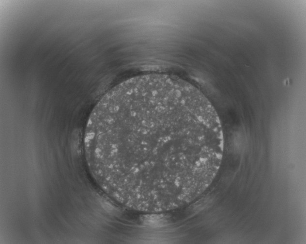 X0000066970273200604142148