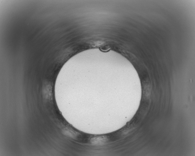 X0000066970274200604142148