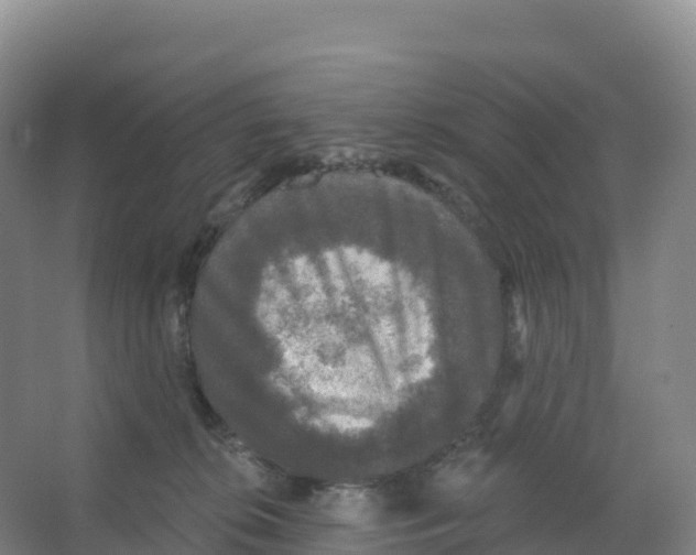 X0000066970276200604142148