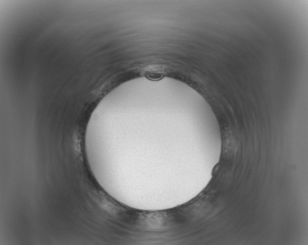 X0000066970282200604142149