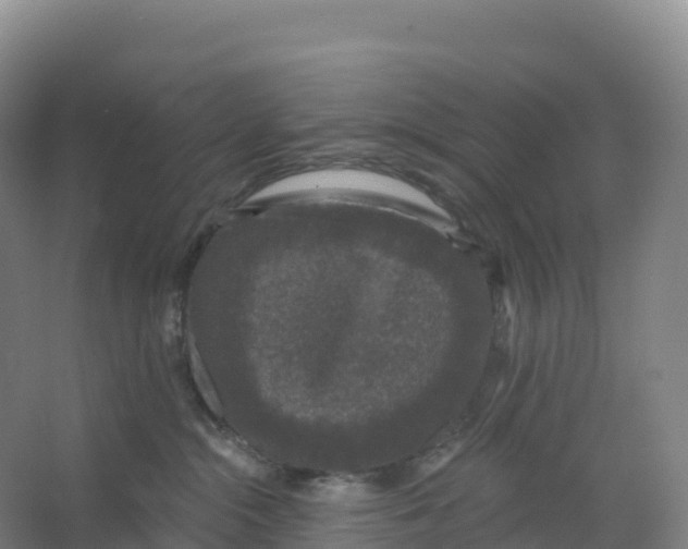 X0000066970284200604142149