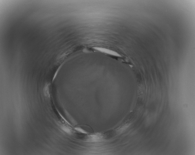 X0000066970286200604142149