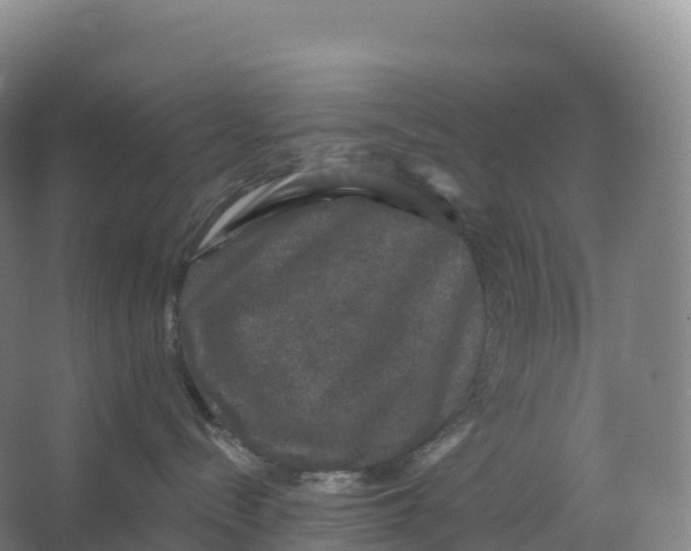 X0000066970288200604142149