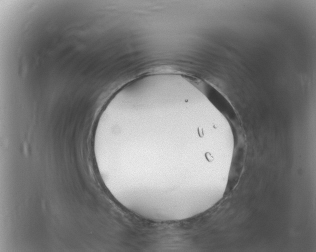 X0000066970289200604142148