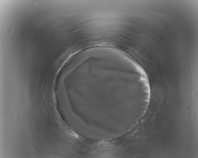 X0000066970290200604142148