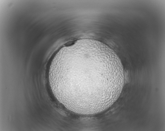 X0000066970291200604142148