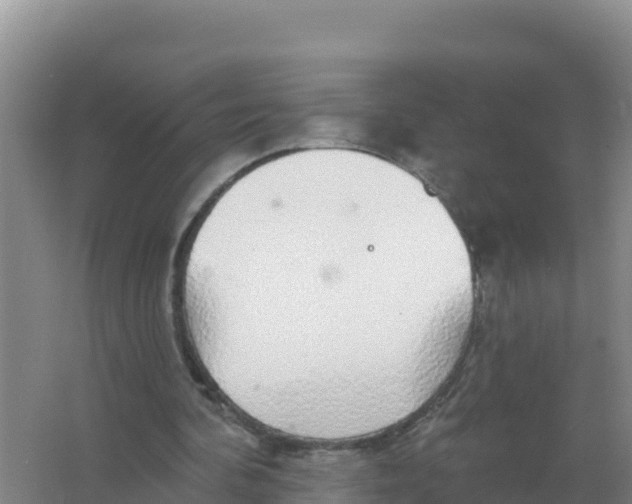 X0000066970292200604142148