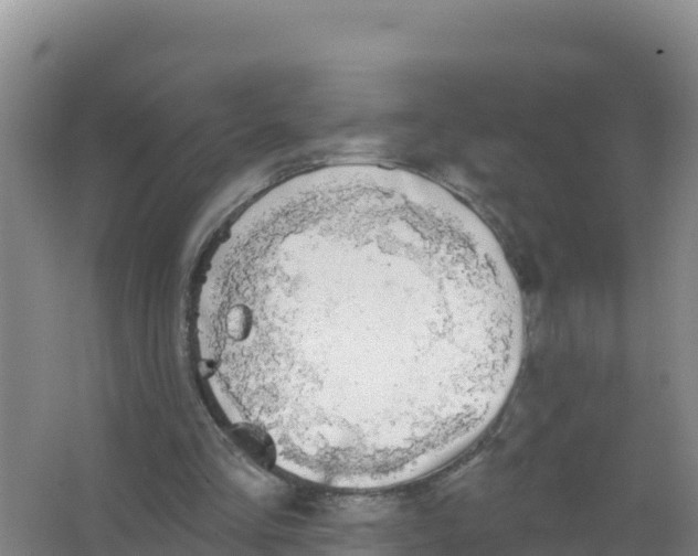 X0000066970293200604142148