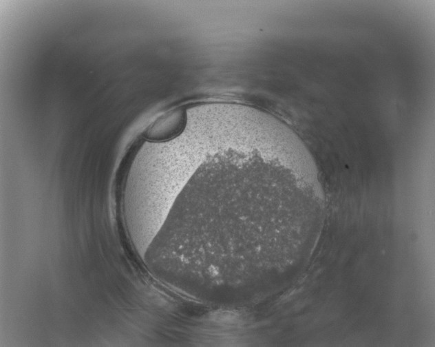 X0000066970294200604142148