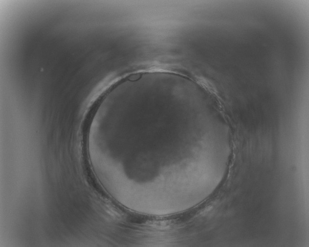 X0000066970295200604142148