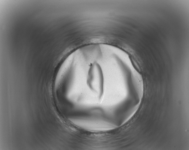 X0000066970297200604142148