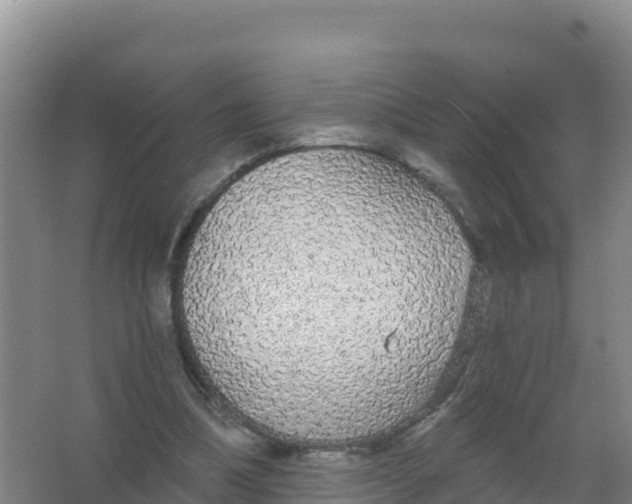 X0000066970298200604142148