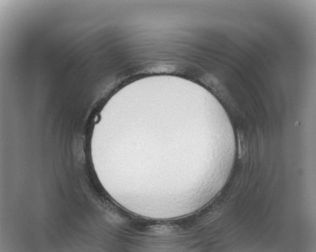 X0000066970300200604142148