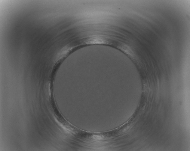 X0000066970302200604142148