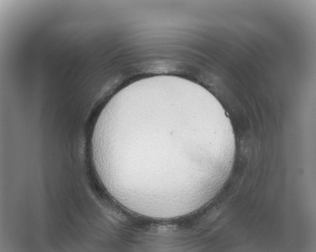 X0000066970304200604142148