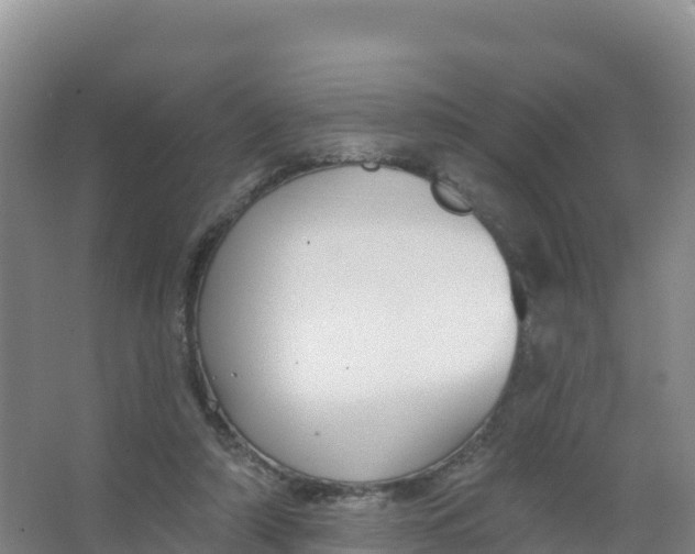 X0000066970306200604142148