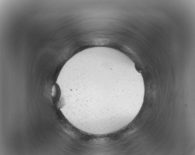 X0000066970307200604142148