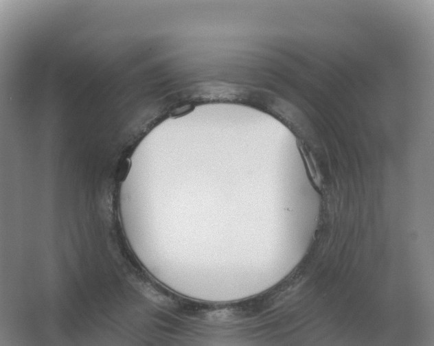 X0000066970309200604142147