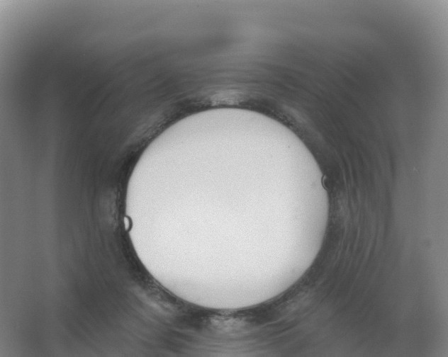 X0000066970311200604142147