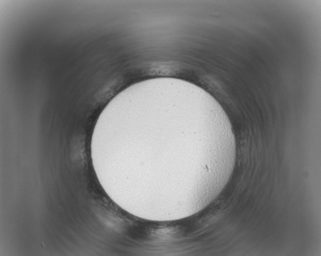 X0000066970312200604142147