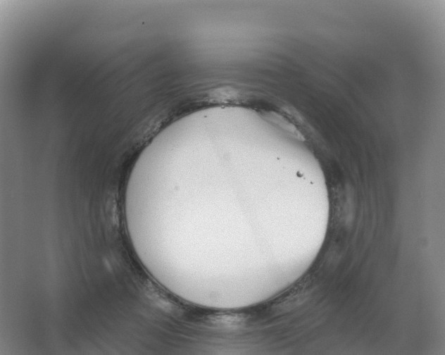 X0000066970313200604142147